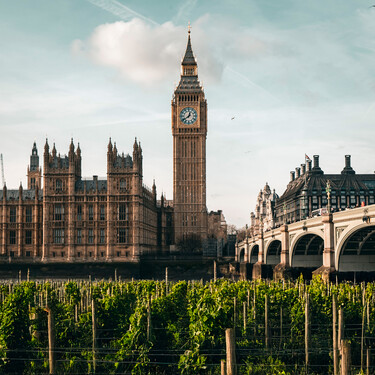 Uno de los países más importantes del vino nunca hizo vino: cómo Reino Unido se convirtió en una potencia vitivinícola 