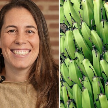 Probióticos naturales o masajes en las manos: los trucos de esta experta para tener más energía en otoño