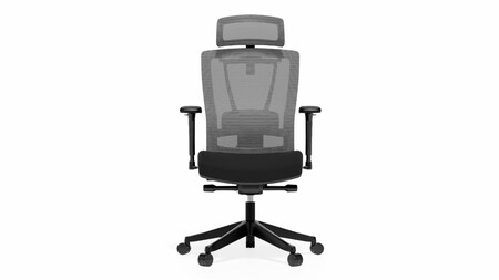 Flexispot C7