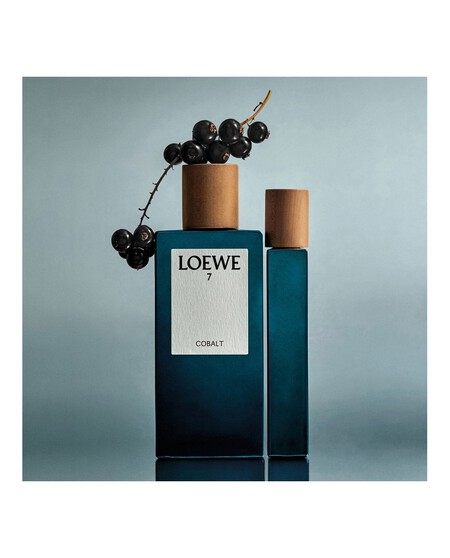 Loewe 7