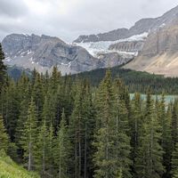 Italia plantó millones de abetos para proteger los Alpes. 90 años después han descubierto que la biodiversidad se ha reducido a la mitad