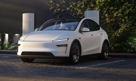 Tesla Model Y 89