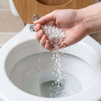¿Sirve de algo echar sal a la taza del baño? Esto dice la ciencia sobre el popular truco de internet