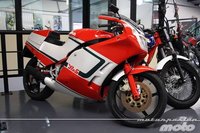 Bimota YB5, una pequeña joya