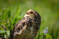 Cuando la empresa olvida al cliente 