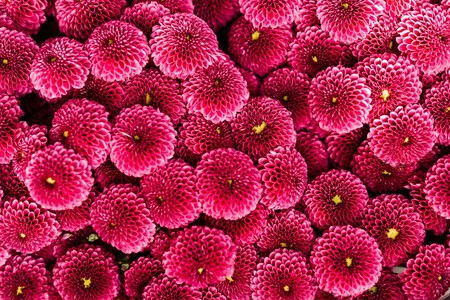 Pexels Karolina Grabowska 4622892