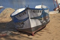 El pescado en la alimentación infantil: pescado azul