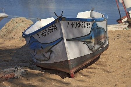 El pescado en la alimentación infantil: pescado azul