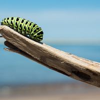 Si quieres conocer tu futuro, fíjate en tu pasado