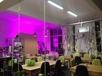 Las pymes, un buen lugar de trabajo