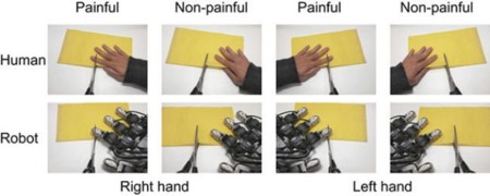 Sentimos empatía por los robots si éstos sufren dolor