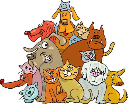 ¿Qué compañías aéreas nos permiten viajar con nuestras mascotas en cabina?