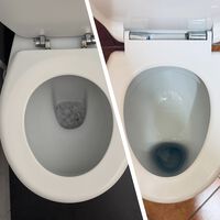 Desde que probé el váter alemán tradicional, miro al resto de WC con otros ojos. Tiene más ventajas de las que parece