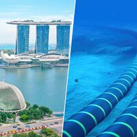 Singapur es el "corazón" oculto de Internet y de las telecomunicaciones globales. Todo empezó con un árbol oriundo de allí