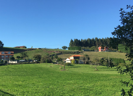 Plan para toda la familia: ganaderos por un día en una casa rural en Asturias
