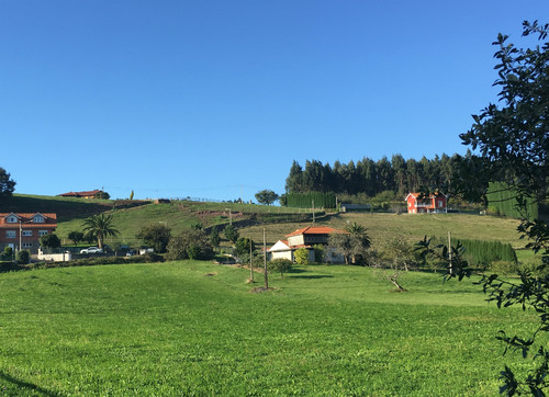 Plan para toda la familia: ganaderos por un día en una casa rural en Asturias