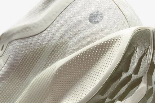 Nike Pegasus Trail 5 Gtx