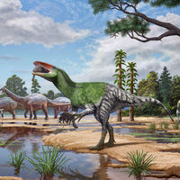 Descubren una nueva especie de dinosaurio, el primer megarraptorán de Europa, gracias a un fósil olvidado 