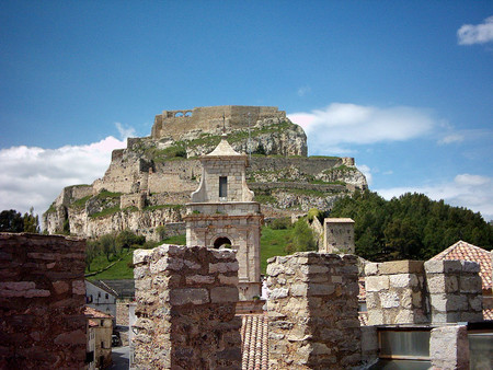 Morella