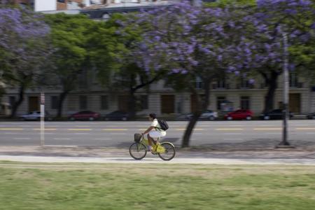 ecobici