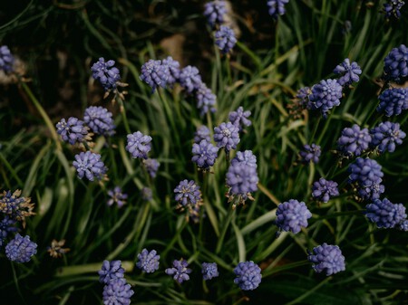 Photo 1649060707133 A108c9e00392