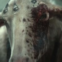 Ni el xenomorfo ni los sintéticos, el as bajo la manga de 'Alien: Planeta Tierra' sigue siendo una criatura nueva