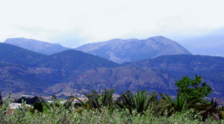 Murcia