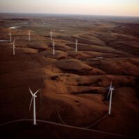 Hace 30 años, un granjero se atrevió a instalar aerogeneradores entre sus vacas: hoy le han regado de dinero