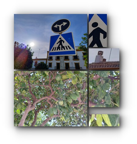 Moto G84 5G Cámaras