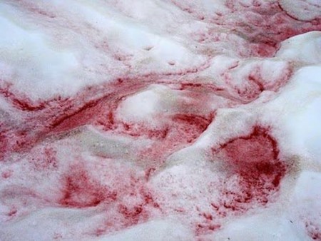 Comiendo nieve con sabor a sandía 