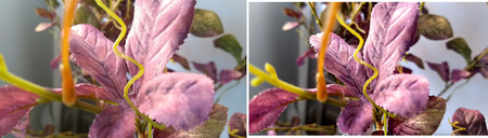 Comparativa Fotos Moto G5