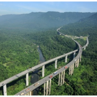 Rodovia brasileira ganha fama mundial ao cortar a Mata Atlântica com viadutos de até 70 metros: 20 km de curvas suaves reduzem riscos sob neblina 