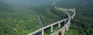 Rodovia brasileira ganha fama mundial ao cortar a Mata Atlântica com viadutos de até 70 metros: 20 km de curvas suaves reduzem riscos sob neblina 