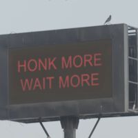 "Pita más, espera más": la policía de Bombay estaba harta de los que abusan del claxon, así que empezó a manipular los semáforos