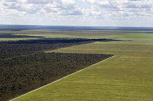 The Cerrado, Brazil