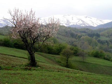 Bursa5