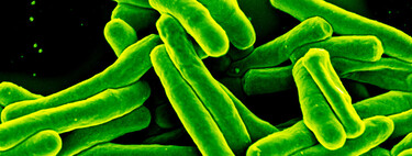 Cada vez tenemos más enfermedades y la explicación no está en la genética, sino en nuestras casas 