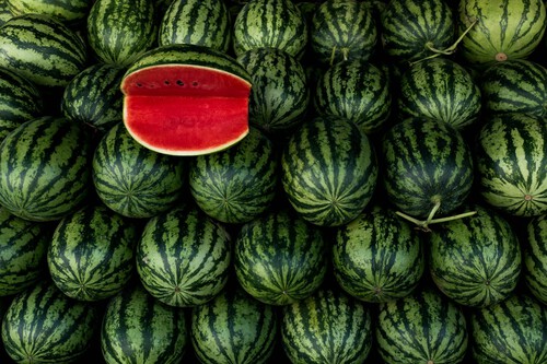 A mancha branca na melancia pode indicar uma fruta colhida antes da hora / Imagem: Crina-Miriam Cretu
