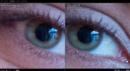 Una gran comparativa de las Canon EOS 6D, 5D Mark III, 7D, 600D y 5D Mark II
