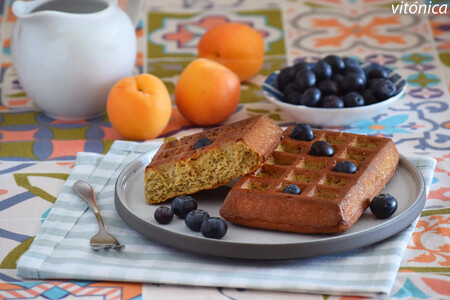 Gofresfitnessproteicos