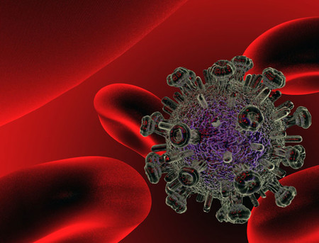 En India se ha detectado un raro virus sin cura que es mortal para los humanos