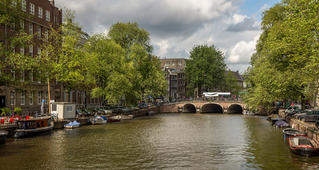 Holanda Renta Basica