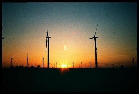 La triple hélice: innovación, estado y empresario