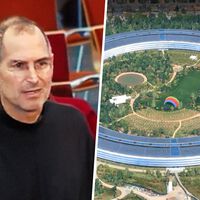 La mitad del terreno del Apple Park era asfalto. Ahora tiene un huerto por pura exigencia de Steve Jobs