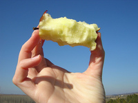 El evismo en la empresa