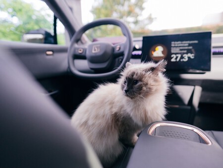 Zeekr X Modo Mascota 1