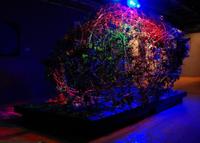 Emprender si perder la cabeza, Heilige & Sünder Industries 