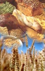 Cereales integrales contra la obesidad y la inflamación
