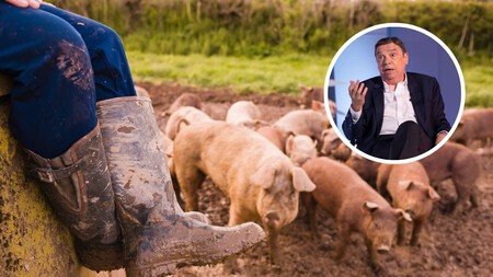 En La Espana Agricola Las Exigencias De Bienestar Afectan A Los Ganaderos Pero El Mayor Problema De Las Pymes Es El Relevo Generacional Y Las Macrogranjas