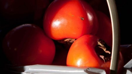 El caqui, una buena fuente de vitaminas y minerales en esta época del año